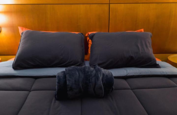 The Best Deluxe - Duplex Studio - Hotel Slav Moema - By Luxxor Sao Paulo Dış mekan fotoğraf